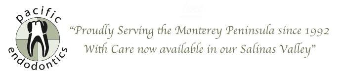 dt07092013233453Newlogocolorandmessage dt07092013233453Newlogocolorandmessage